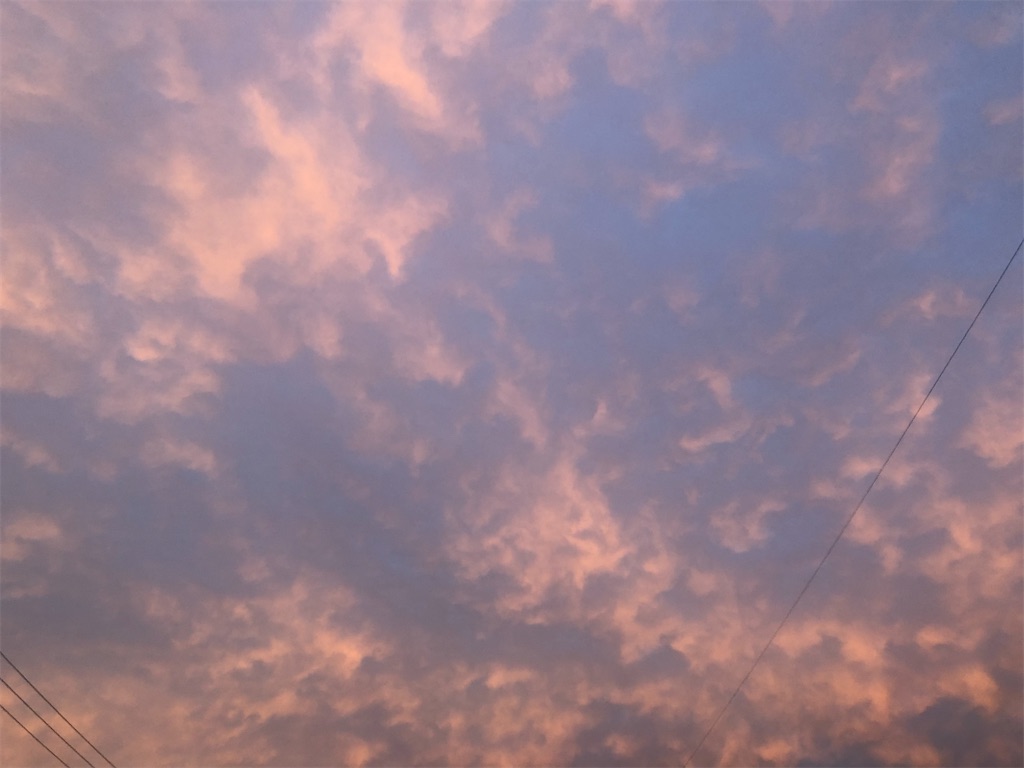 f:id:kitina:20230907210009j:image