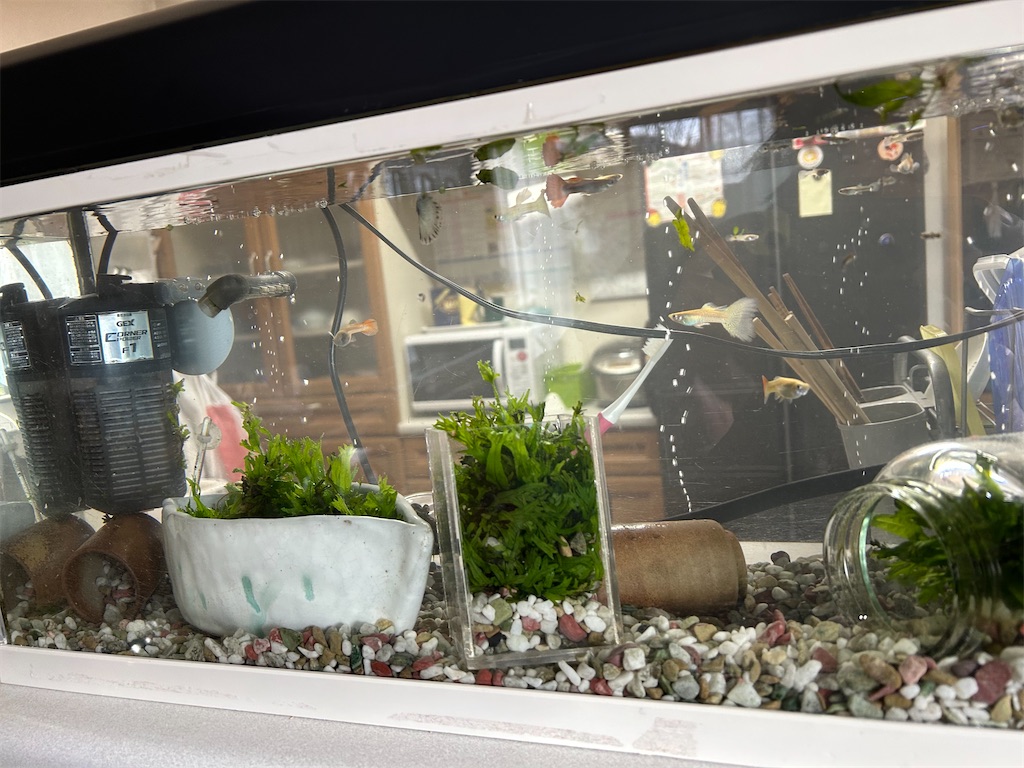 f:id:kitina:20240113203949j:image f:id:kitina:20240113203949j:image