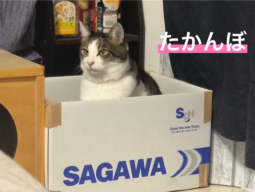 f:id:kitina:20241006211924j:image