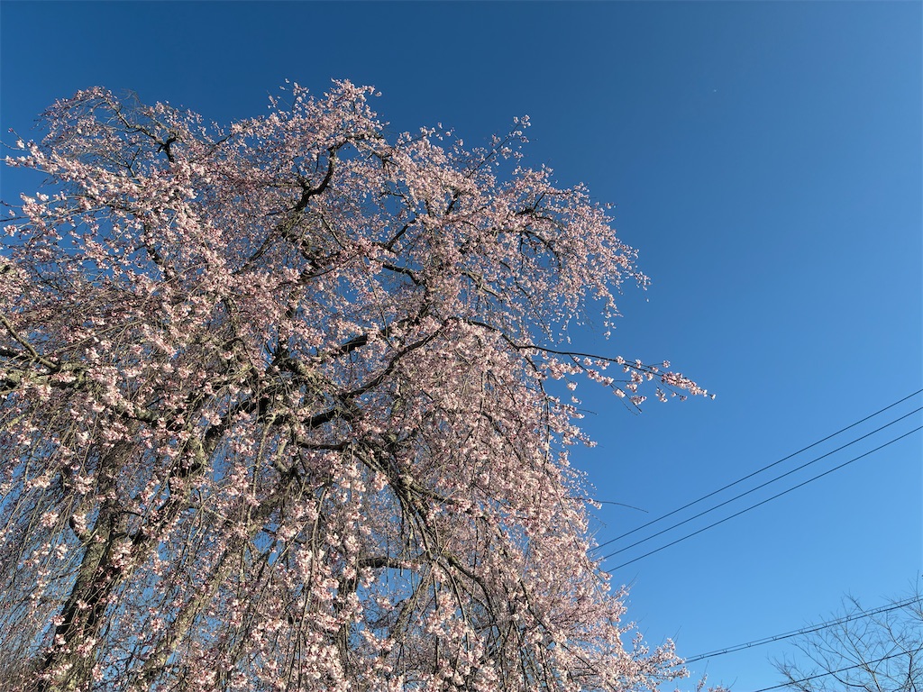 f:id:kitina:20260403001656j:image