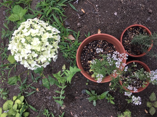 f:id:kitispace:20170616074530j:image f:id:kitispace:20170616074530j:image