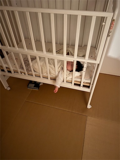 f:id:kitispace:20250929112909j:image f:id:kitispace:20250929112909j:image