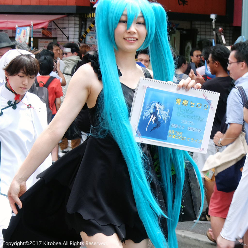 f:id:kitobee:20170806202539j:plain f:id:kitobee:20170806202539j:plain