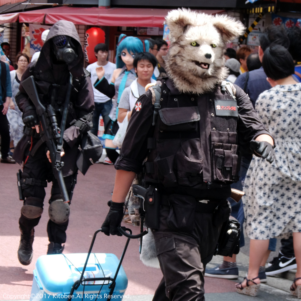 f:id:kitobee:20170806203011j:plain f:id:kitobee:20170806203011j:plain