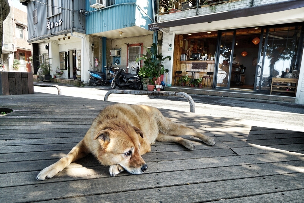 f:id:kitobee:20190203002657j:plain f:id:kitobee:20190203002657j:plain