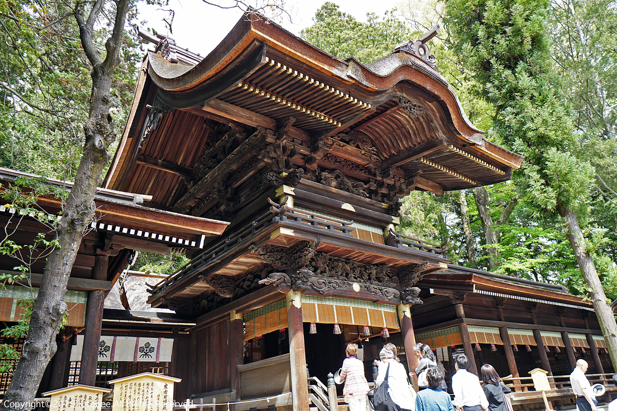 f:id:kitobee:20190513003520j:plain f:id:kitobee:20190513003520j:plain