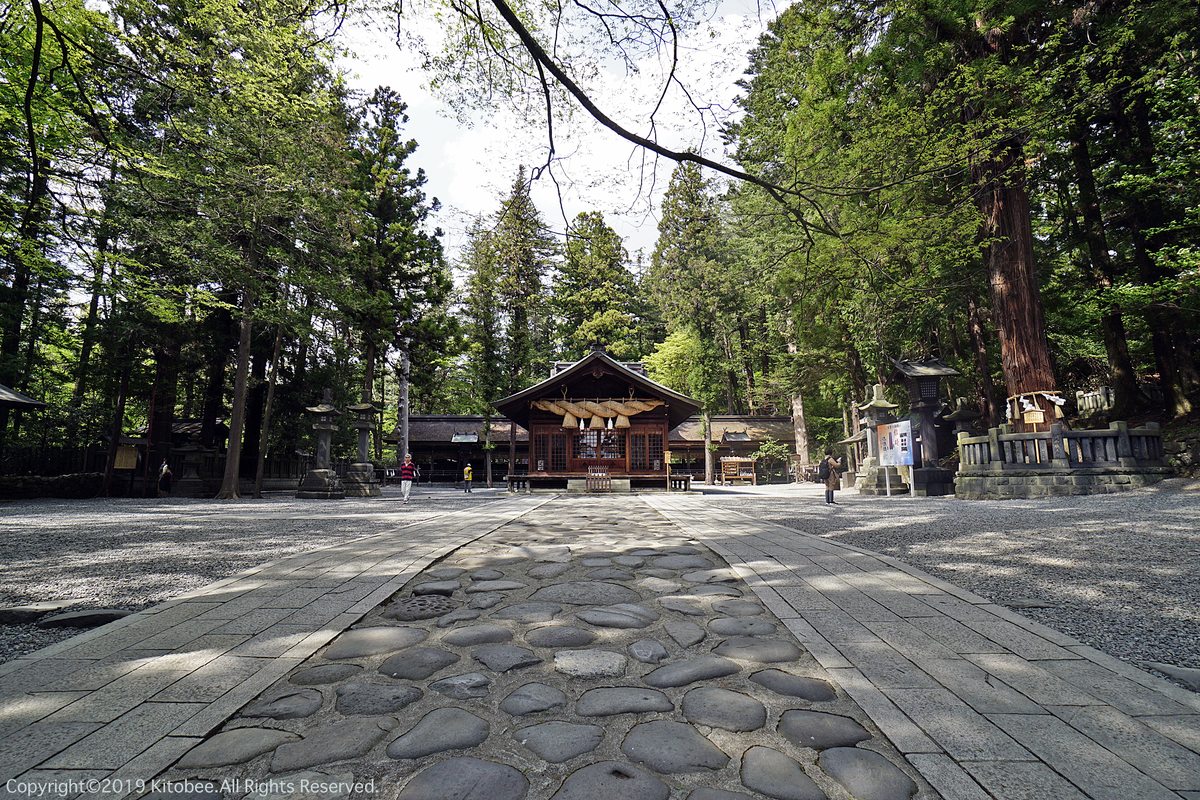 f:id:kitobee:20190513003557j:plain f:id:kitobee:20190513003557j:plain