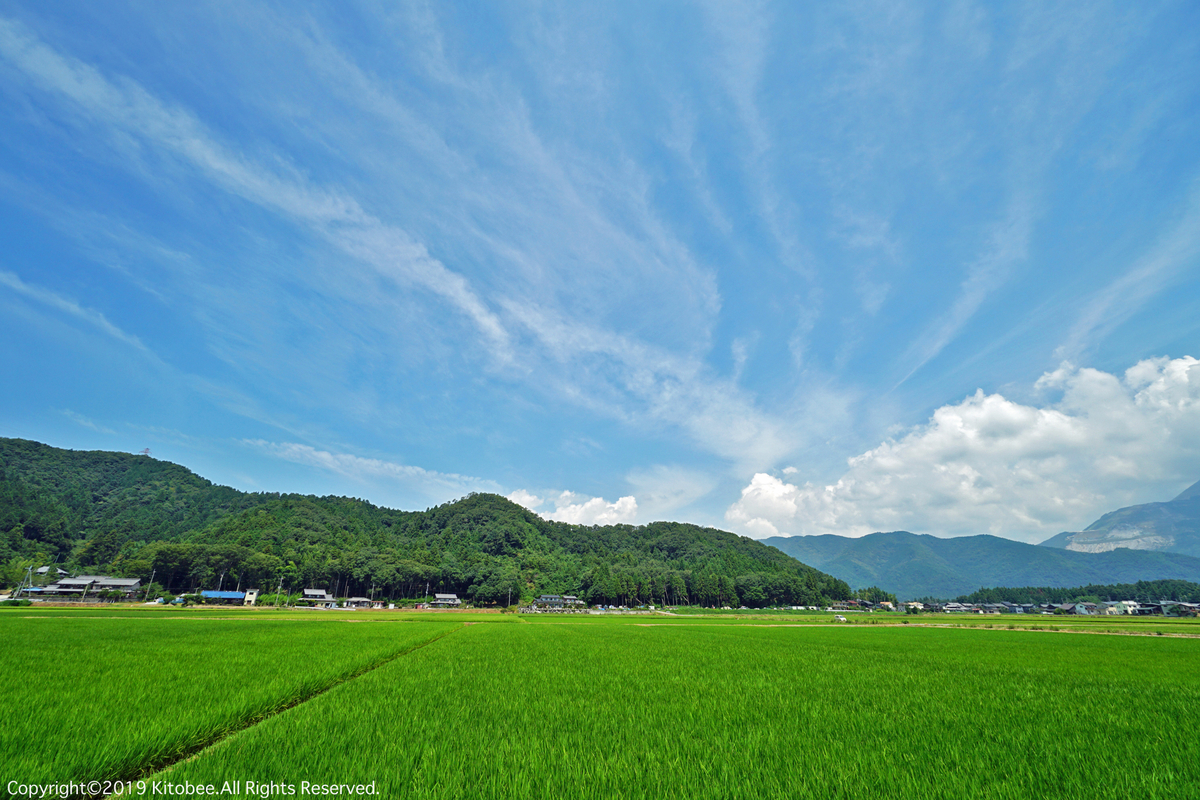 f:id:kitobee:20190810192813j:plain f:id:kitobee:20190810192813j:plain