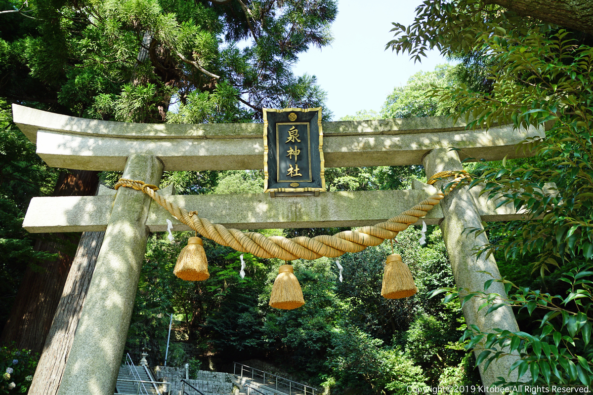 f:id:kitobee:20190810194707j:plain f:id:kitobee:20190810194707j:plain