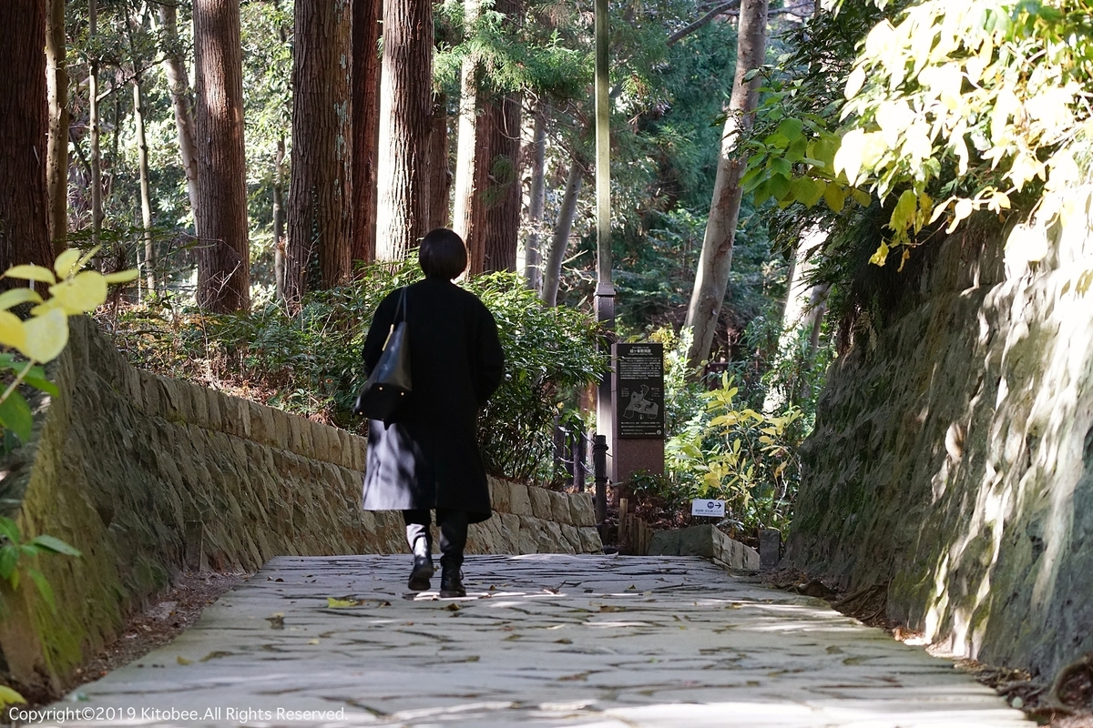 f:id:kitobee:20191228080259j:plain