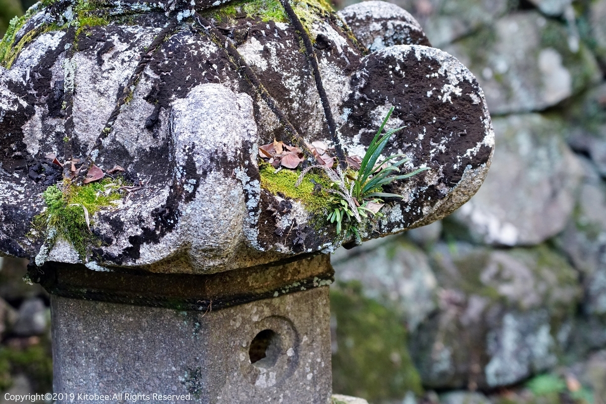 f:id:kitobee:20191228080542j:plain