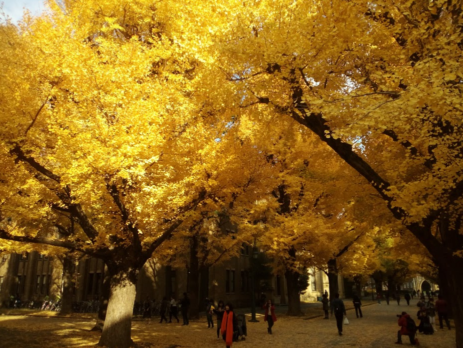 f:id:kitos:20181027151418p:plain