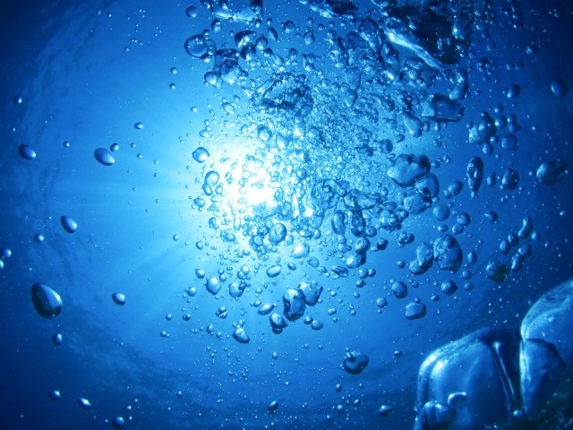 f:id:kitosemi:20200906013221j:image f:id:kitosemi:20200906013221j:image