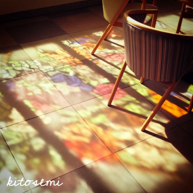 f:id:kitosemi:20200919231501j:image f:id:kitosemi:20200919231501j:image