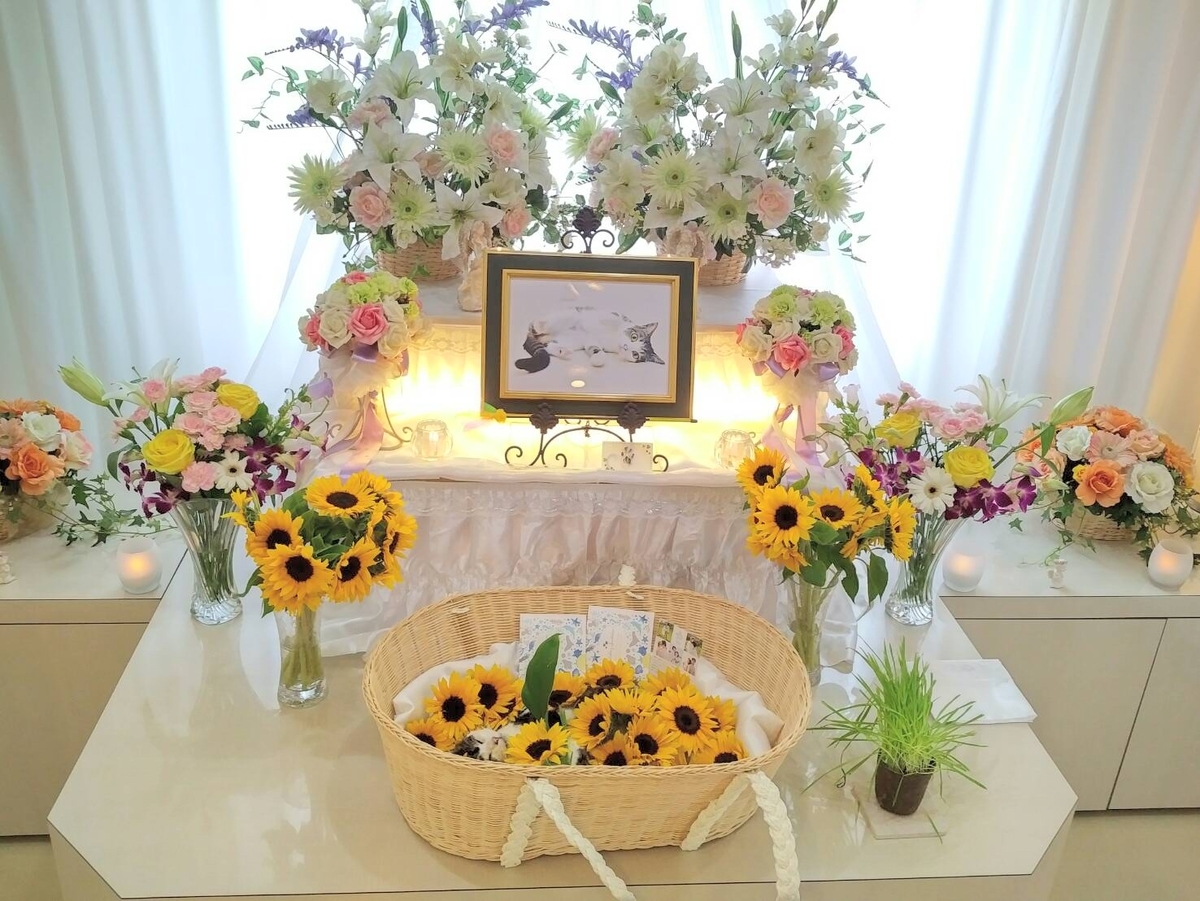 f:id:kitoururi:20190622121432j:plain