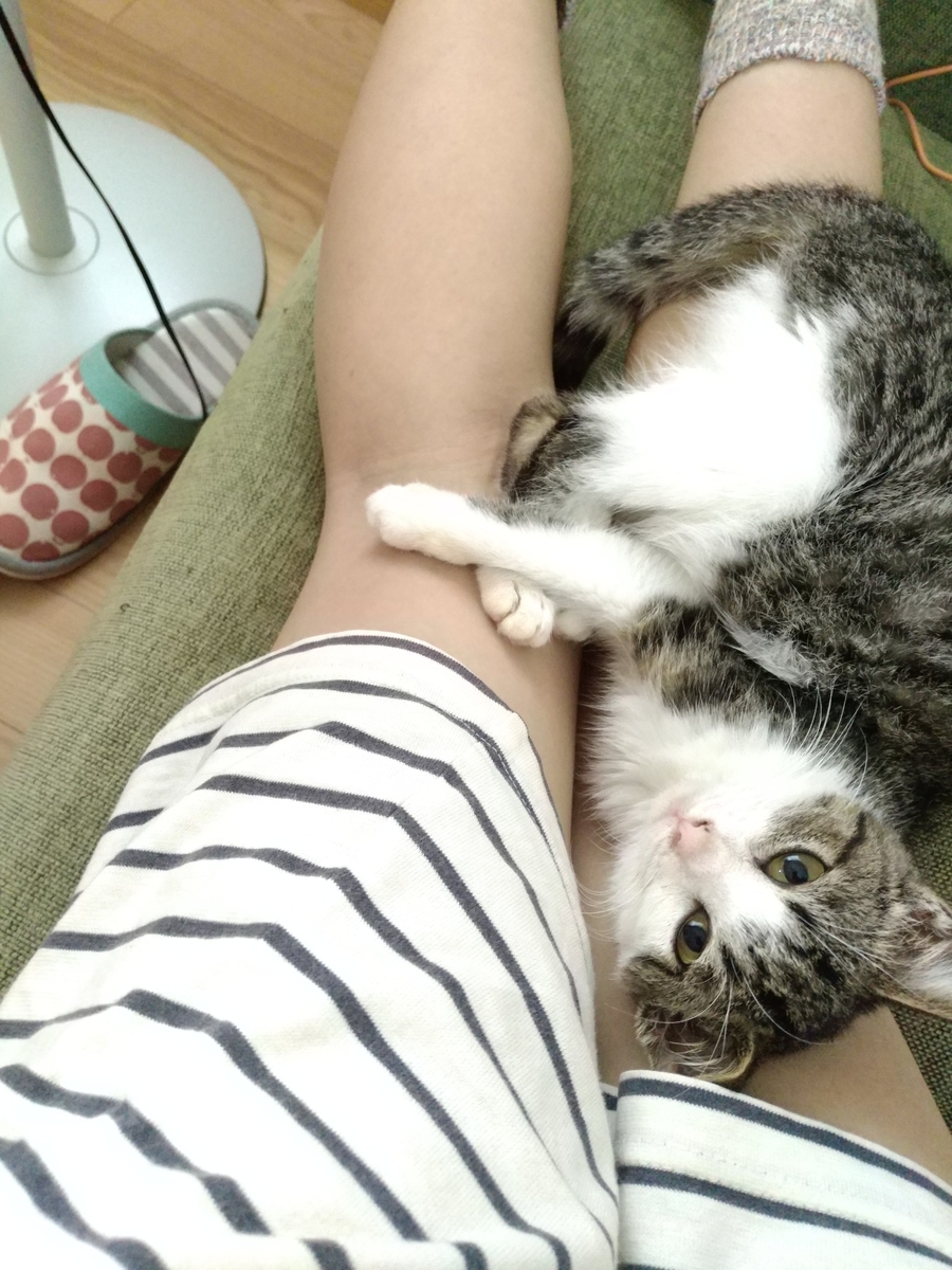 f:id:kitoururi:20190622234213j:plain