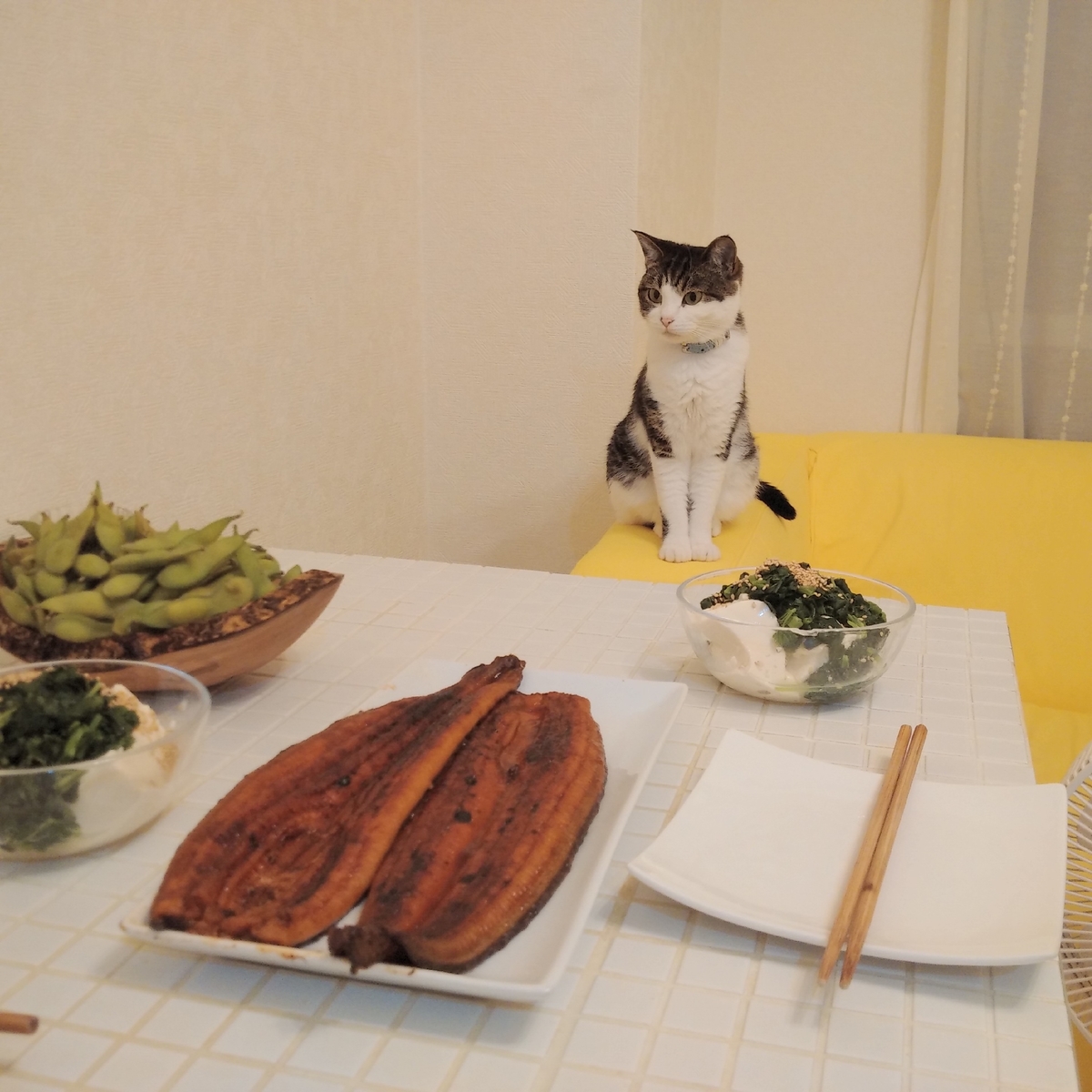f:id:kitoururi:20190623231223j:plain