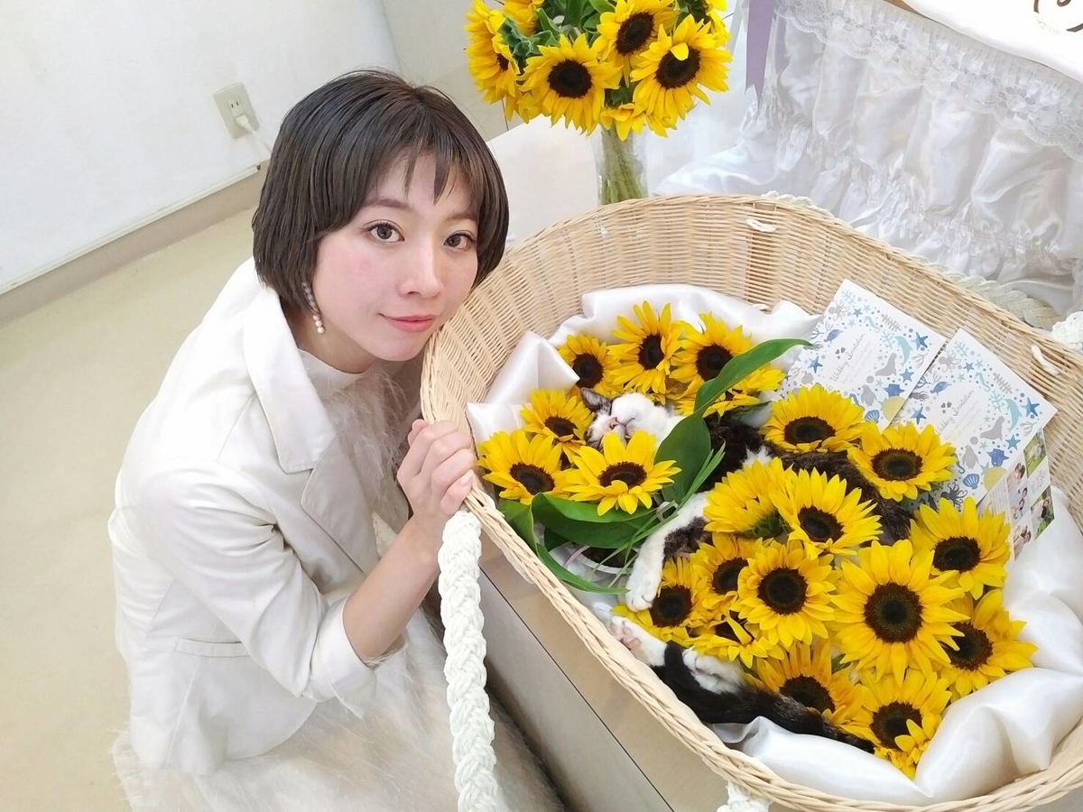 f:id:kitoururi:20190708180327j:plain