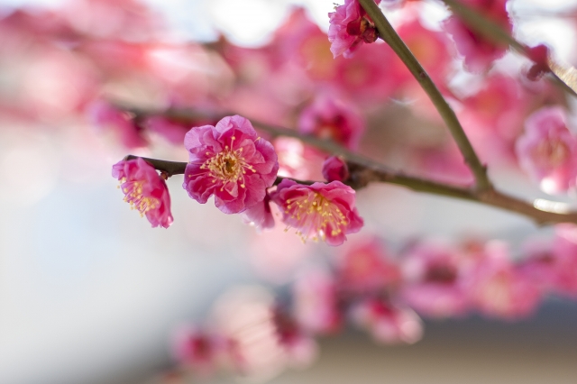 f:id:kitposition:20180830213649j:plain f:id:kitposition:20180830213649j:plain