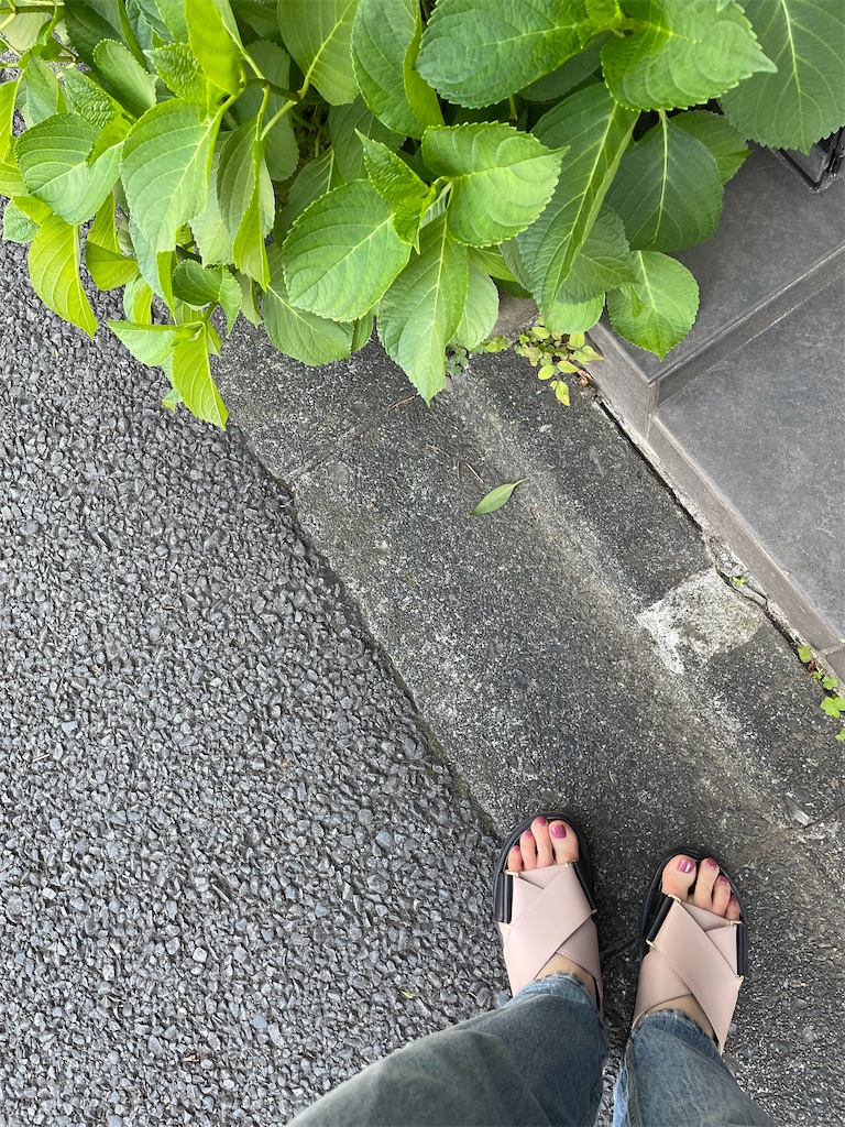 f:id:kitsu7:20230803110321j:image