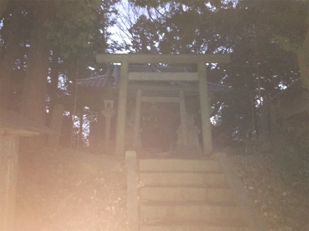 f:id:kitsugi:20190101221528j:image f:id:kitsugi:20190101221528j:image