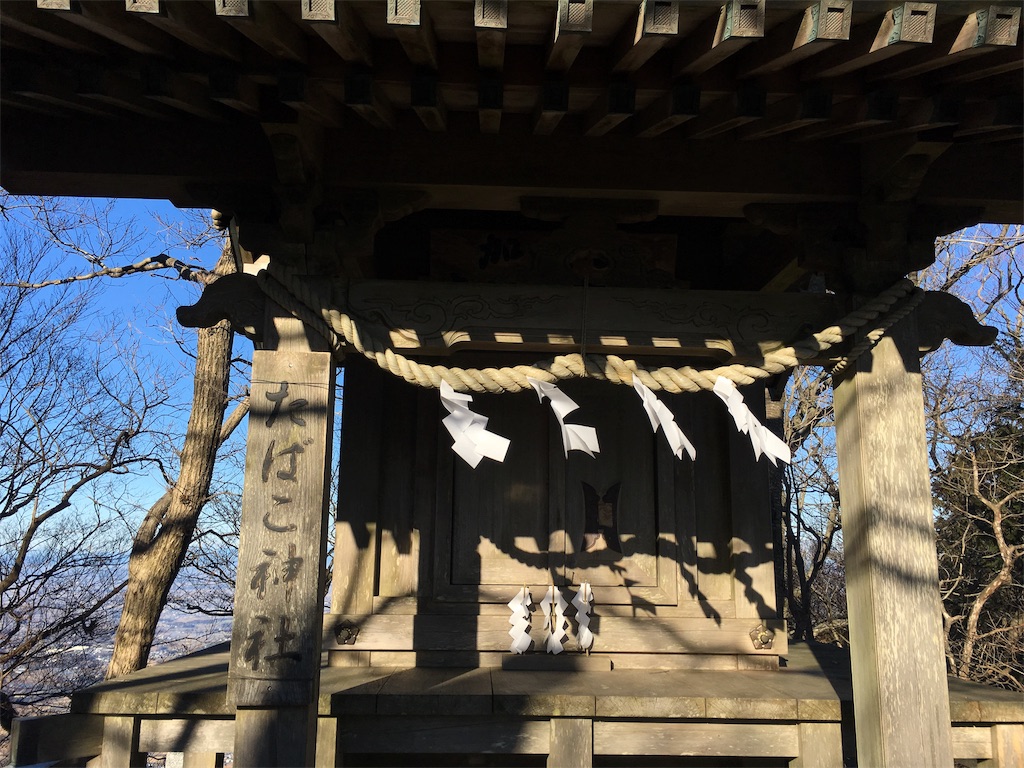 f:id:kitsugi:20190101223445j:image f:id:kitsugi:20190101223445j:image