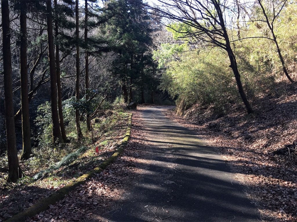 f:id:kitsugi:20190101230739j:image f:id:kitsugi:20190101230739j:image