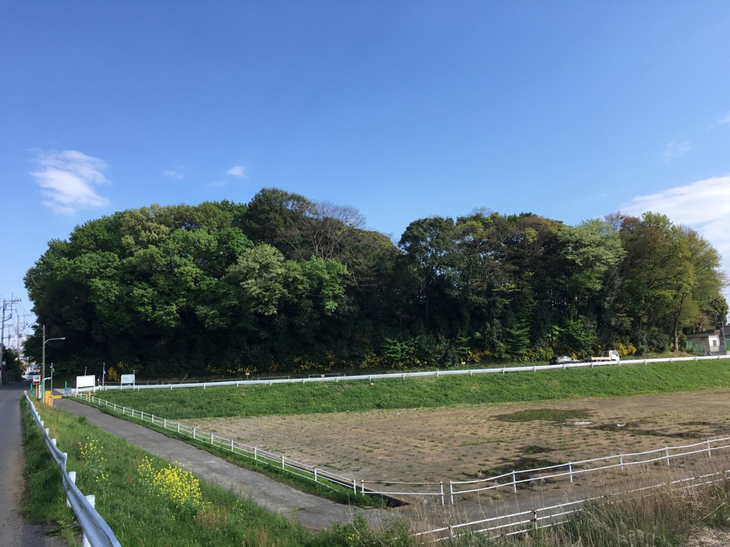 f:id:kitsuta23:20170423235127j:plain f:id:kitsuta23:20170423235127j:plain