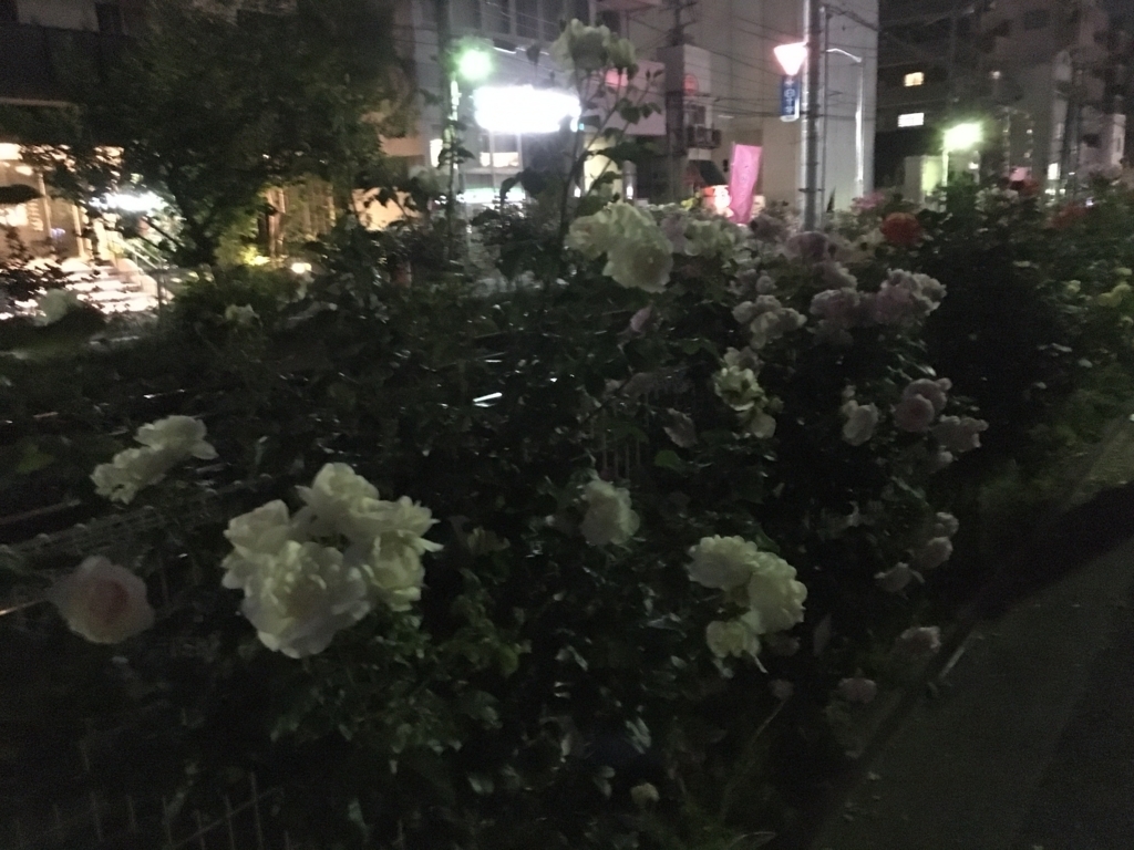 f:id:kitsuta23:20170531213803j:plain f:id:kitsuta23:20170531213803j:plain