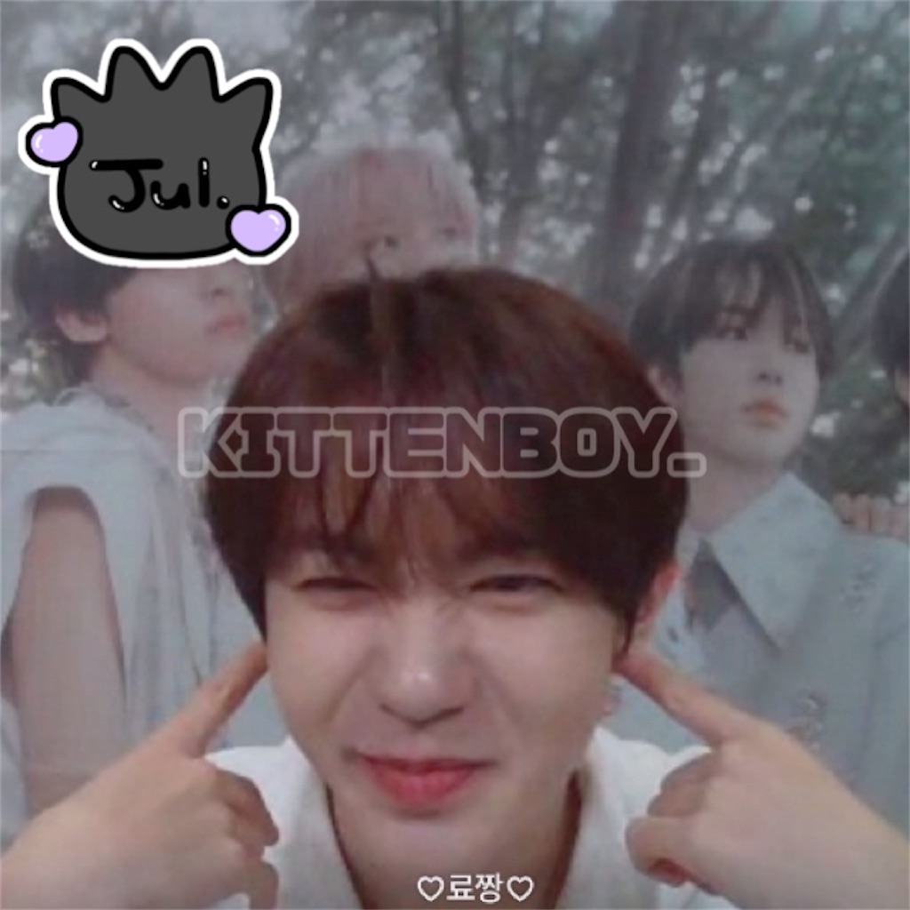f:id:kittenboy:20241221222131j:image f:id:kittenboy:20241221222131j:image