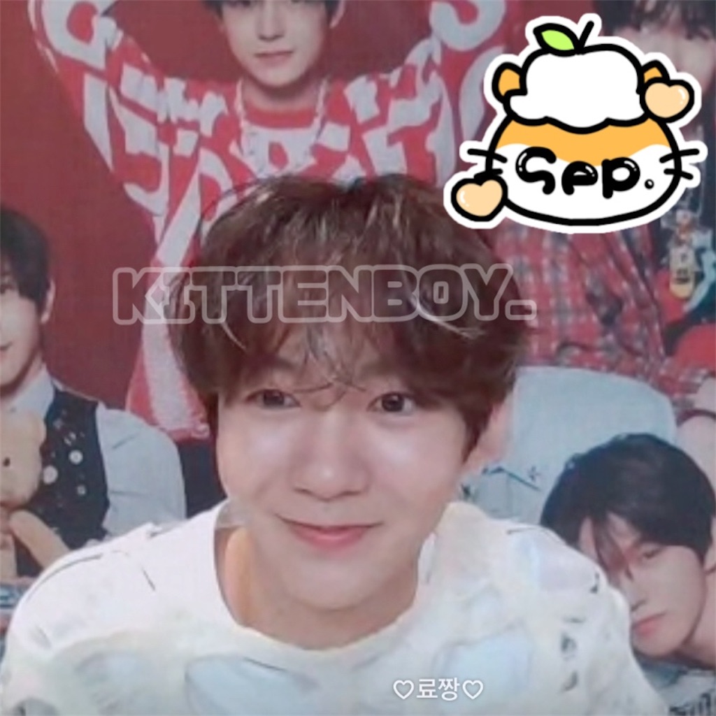 f:id:kittenboy:20241221223358j:image f:id:kittenboy:20241221223358j:image