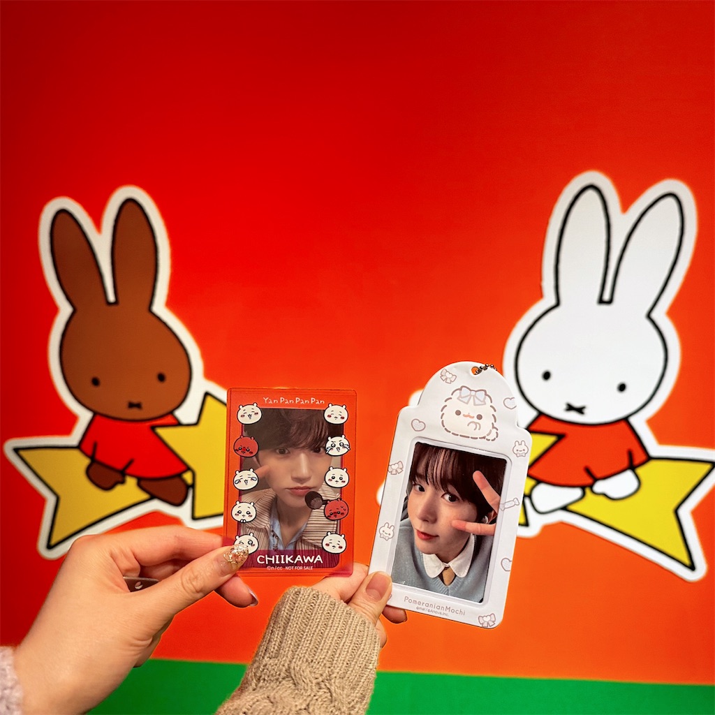 f:id:kittenboy:20241222075913j:image f:id:kittenboy:20241222075913j:image