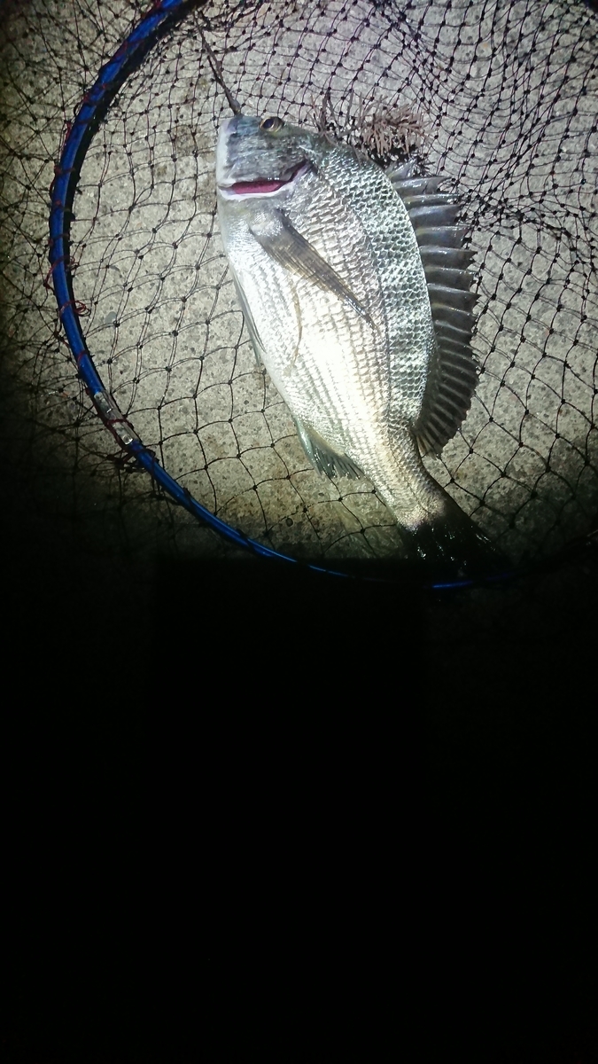 f:id:kittokito:20190914123807j:plain f:id:kittokito:20190914123807j:plain