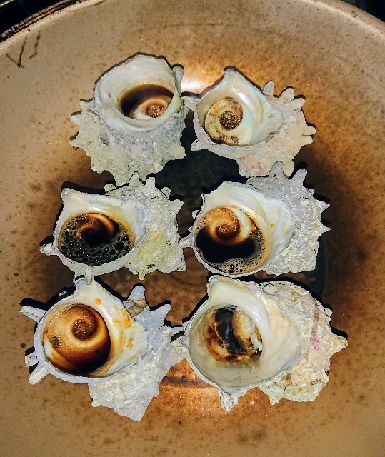 f:id:kittokito:20191217121058j:image