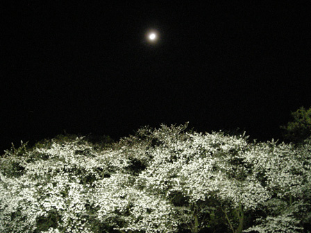 f:id:kittsan:20180331231340j:plain f:id:kittsan:20180331231340j:plain