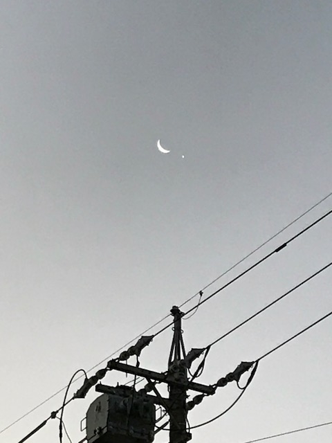 f:id:kittsan:20190103172446j:plain