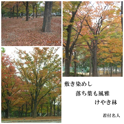 f:id:kitukemeijin:20091109091643j:image f:id:kitukemeijin:20091109091643j:image