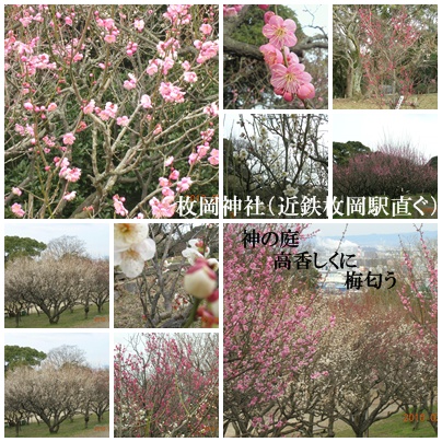 f:id:kitukemeijin:20100218213921j:image f:id:kitukemeijin:20100218213921j:image