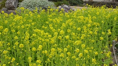 f:id:kitukemeijin:20110310151215j:image f:id:kitukemeijin:20110310151215j:image