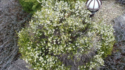 f:id:kitukemeijin:20110310151625j:image f:id:kitukemeijin:20110310151625j:image
