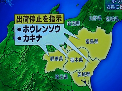 f:id:kitukemeijin:20110321232048j:image f:id:kitukemeijin:20110321232048j:image