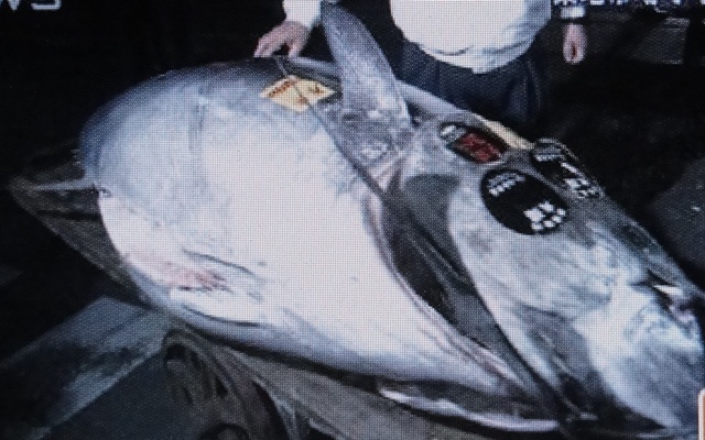f:id:kitukemeijin:20120105173154j:image f:id:kitukemeijin:20120105173154j:image