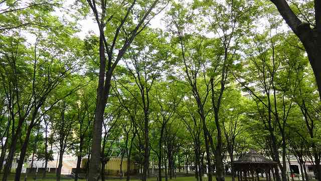 f:id:kitukemeijin:20120719073459j:image f:id:kitukemeijin:20120719073459j:image
