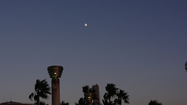 f:id:kitukemeijin:20121001055031j:image f:id:kitukemeijin:20121001055031j:image