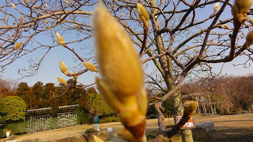 f:id:kitukemeijin:20130308072211j:image