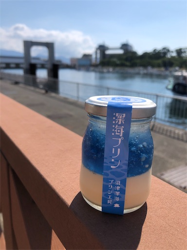 f:id:kiui_4:20200905201727j:image