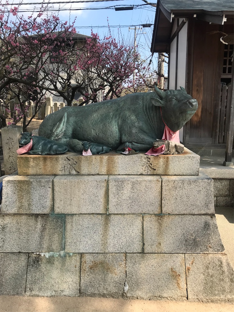 43、綱敷天満宮《兵庫県神戸市》 - せいたかとんぼの木うそ紀行