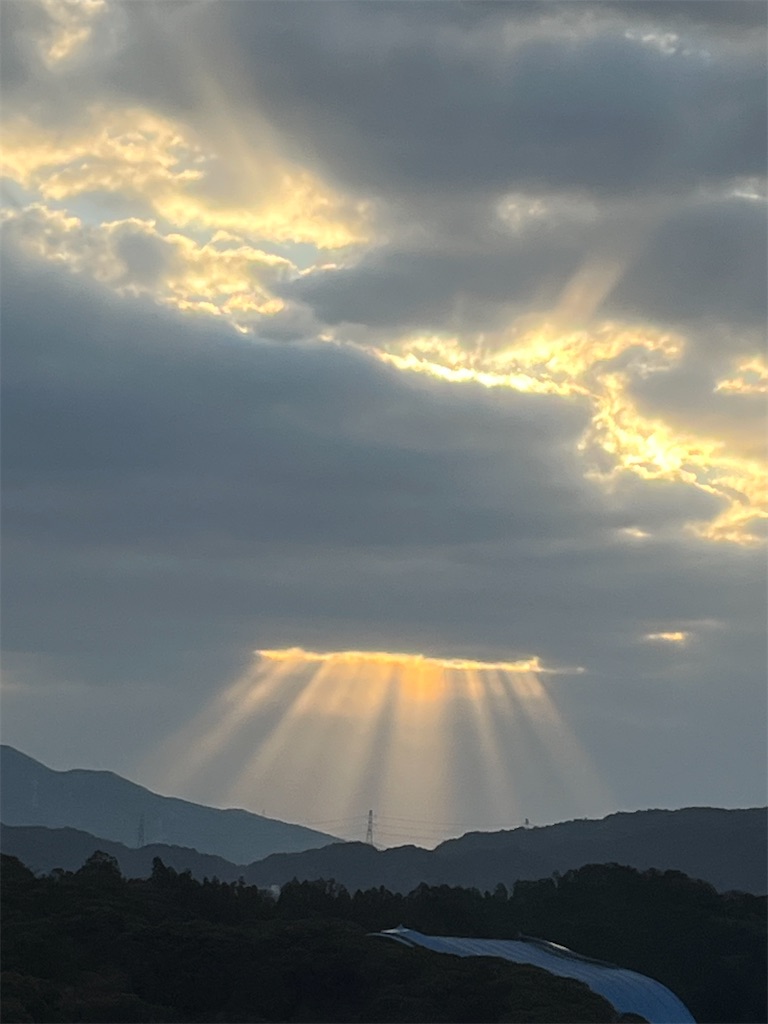 f:id:kiuso:20240418085940j:image