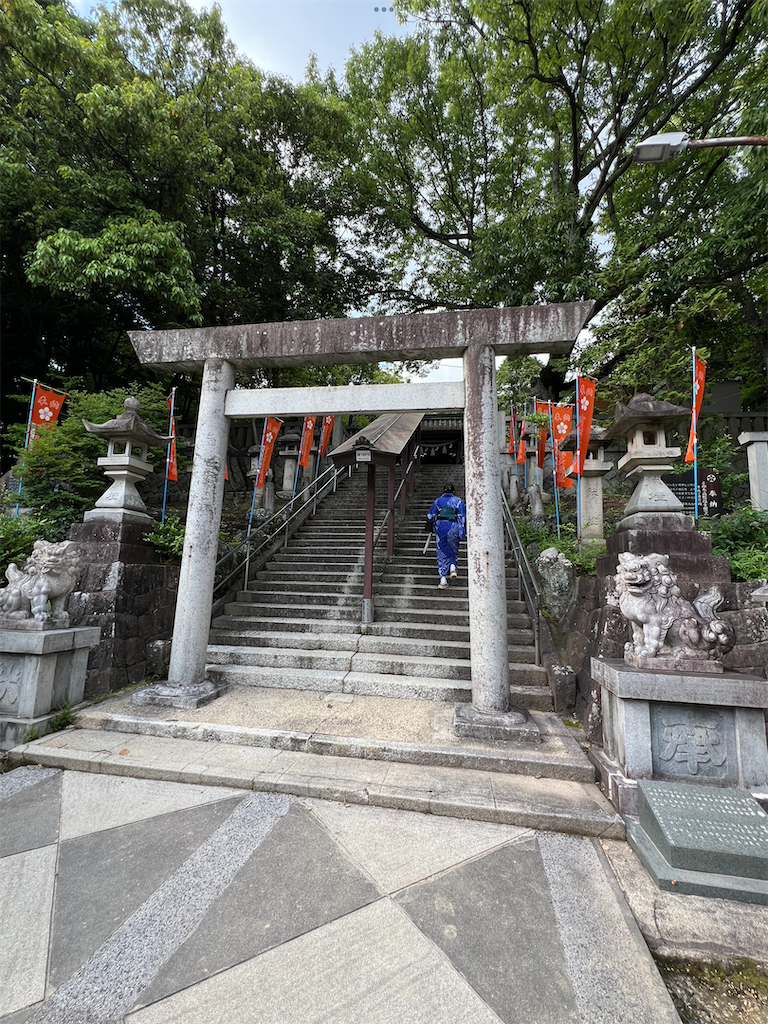 f:id:kiuso:20240702212545p:image