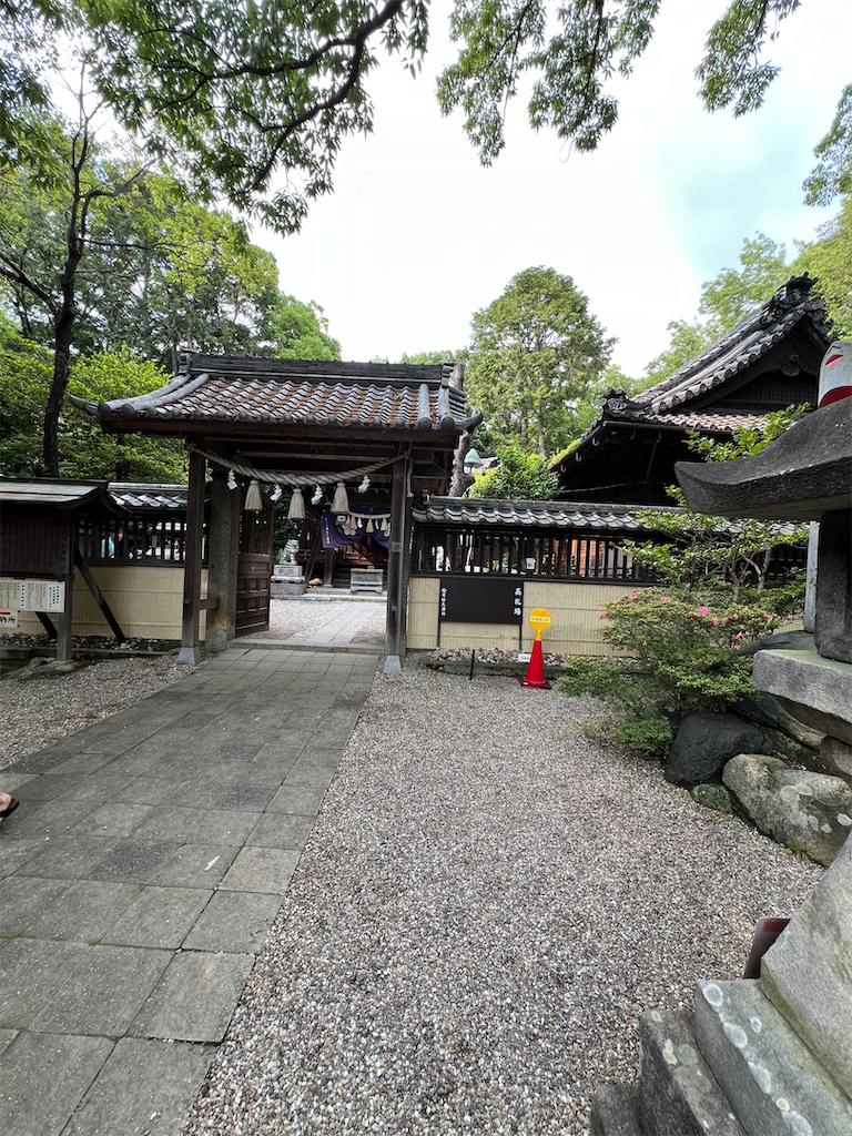 f:id:kiuso:20240702212550p:image